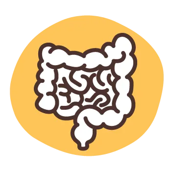 Icon of gut intestines