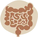 Icon of gut intestine