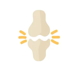 Icon of bone joint