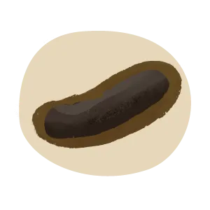 Icon of black cat poo