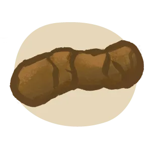 Icon of classic, healthy, firm brown cat poo