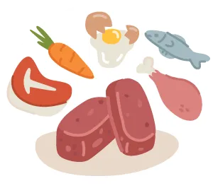 Icon of raw cat food patties surrounded by fresh ingredients - red meat, carrot, egg, fish and chicken
