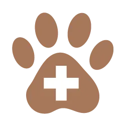 Paw print with cross inside icon
