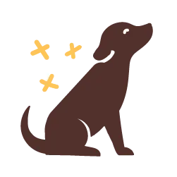 Dog surrounded by sparkles icon