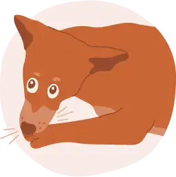 Illustration of a kelpie chewing and grooming paw excessively