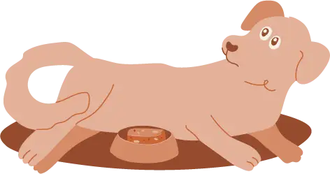 Illustration of a labrador refusing to eat