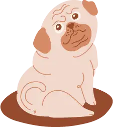 Illustration of a pug sitting close by