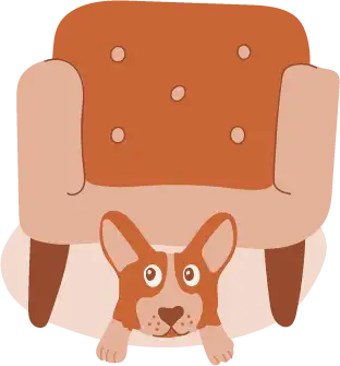 Illustration of a corgi hiding under a couch