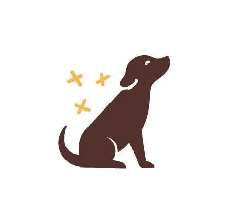 Dog surrounded by sparkles for healthy coat icon