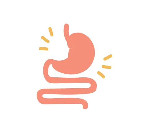 Healthy digestive tract icon