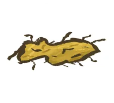 Cat vomit with hairball