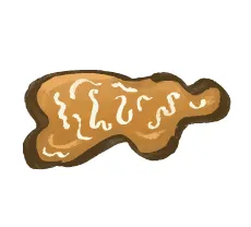 Cat vomit with visible worms