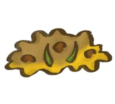 Cat vomit with chunky or undigested food