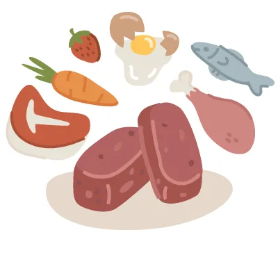 Raw food patties surrounded by fresh ingredients illustrated icon