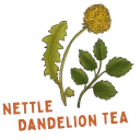 Illustration of Nettle and Dandelion Tea