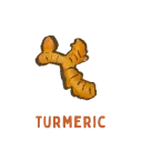 Illustration of turmeric