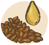Illustration of flaxseed and flaxseed oil as plant-based sources of omega-3 fatty acids