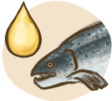 Illustration of salmon as an animal source of omega-3 fatty acids