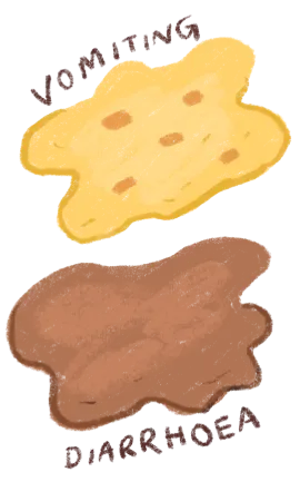 Illustration of yellow vomit and brown diarrhoea