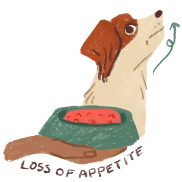 Illustration of dog turning nose up at bowl of food displaying a loss of appetite
