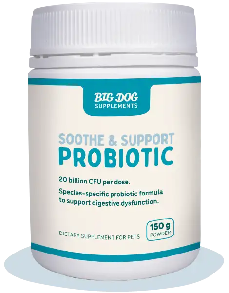 Big Dog Soothe & Support Probiotic