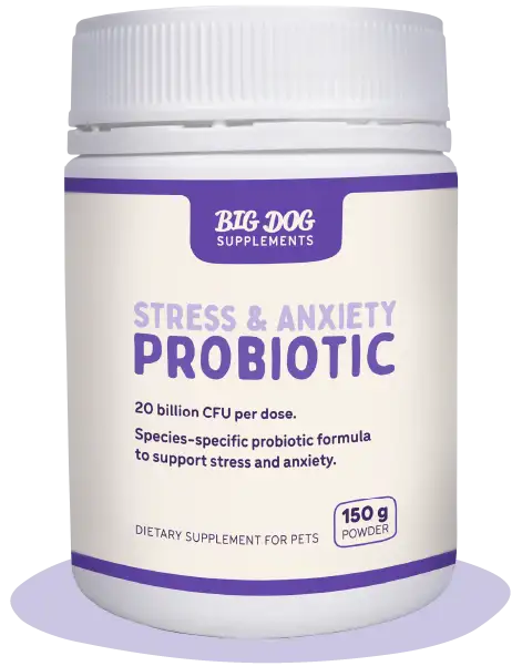 Big Dog Stress & Anxiety probiotic