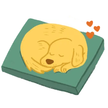 Illustration of a golden yellow dog curled up on a green dog bed, snoozing with little heart sparkles