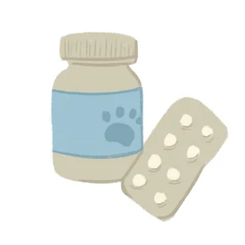 Illustration of canine medication bottle and blister pack