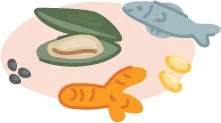 an illustration of supplements including green-lipped mussels, curcumin, omega 3 and glucosamine/chondoitin sulphate