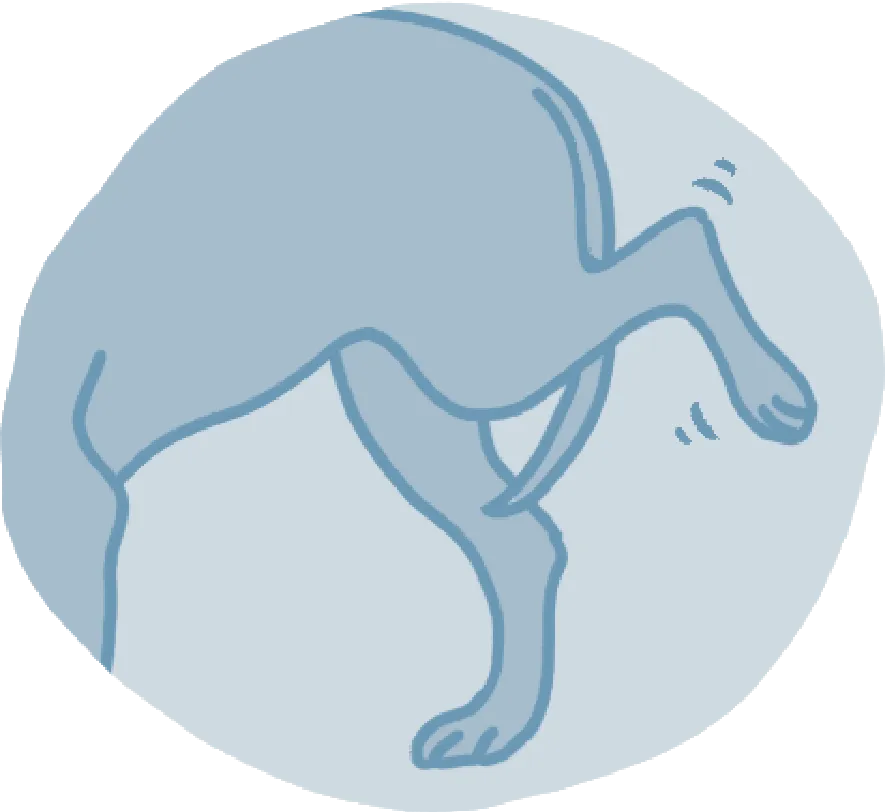 an illustration of a dog limping, favouring rear leg