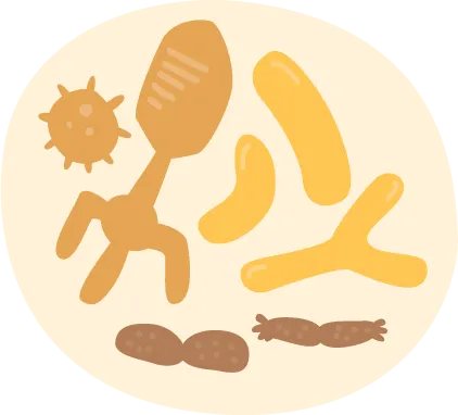 gut microbiome