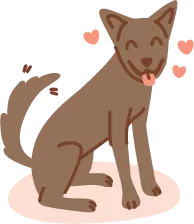 a happy, stress-free, well exercised dog