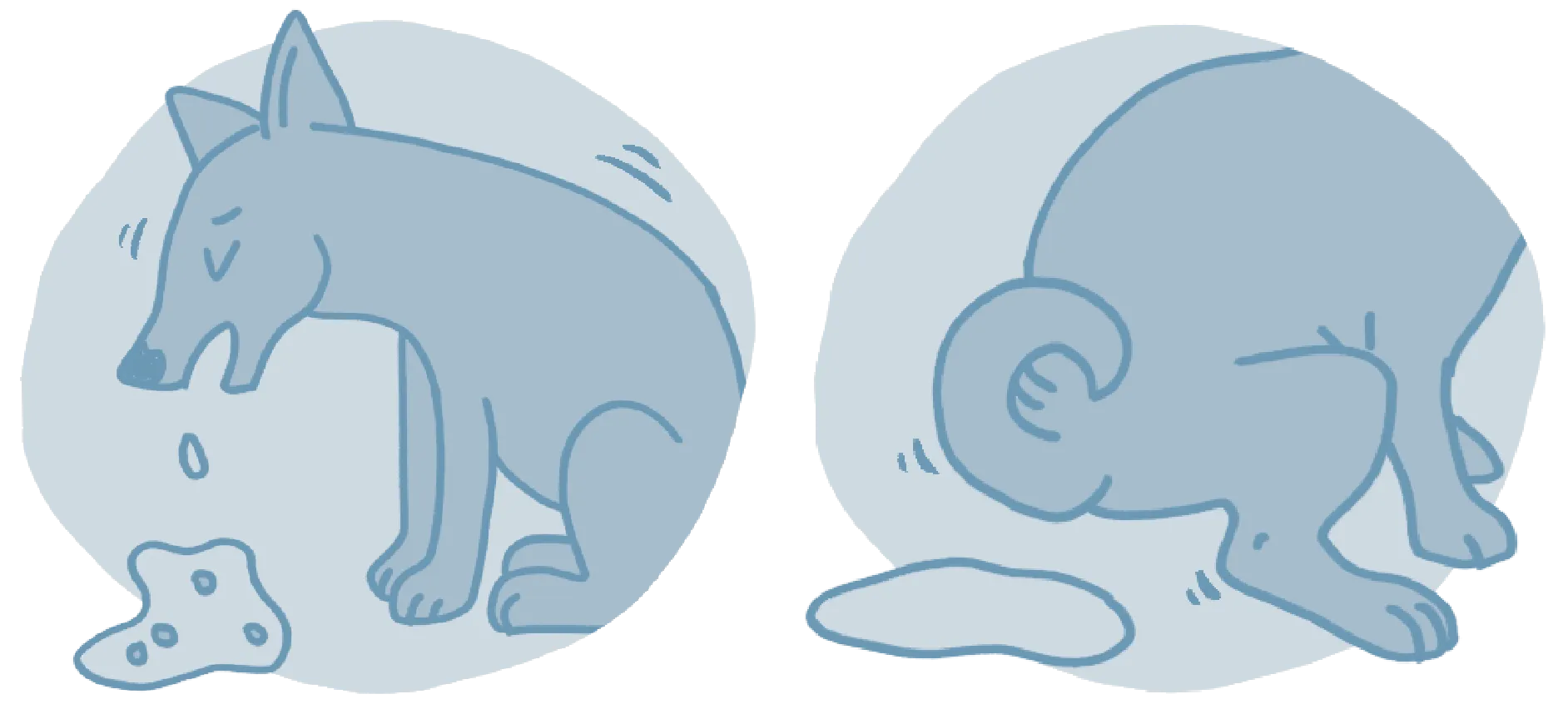 illustrations of dogs vomiting and experiencing diarrhoea