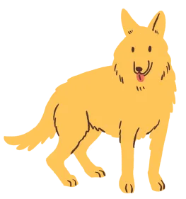 german shepherd dog
