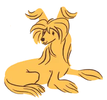 chinese crested dog