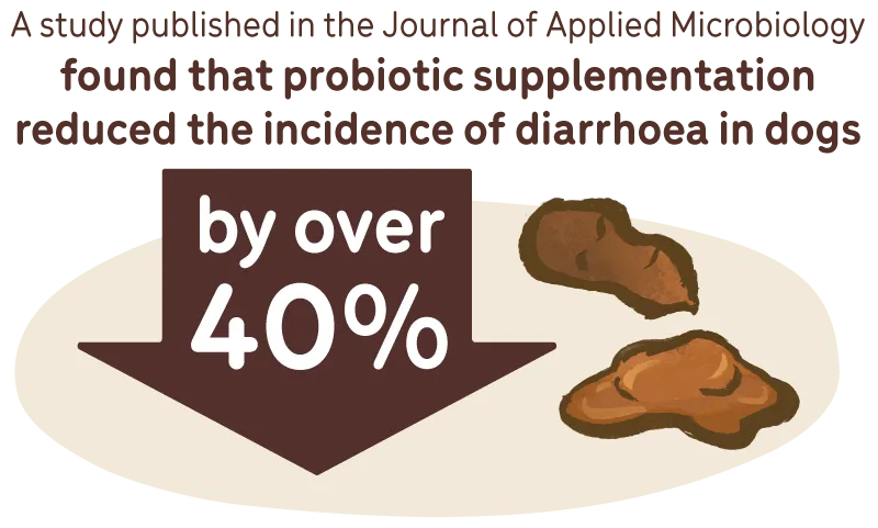 probiotic supplementation can reduce the incidence of diarrhoea in dogs by up to 40%