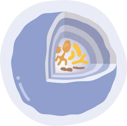 microencapsulation