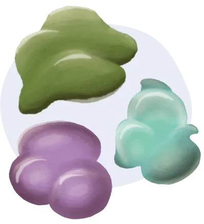 digestive enzymes - amulase, protease & lipase