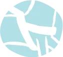 icon illustration of a dog in a harness for a short walk