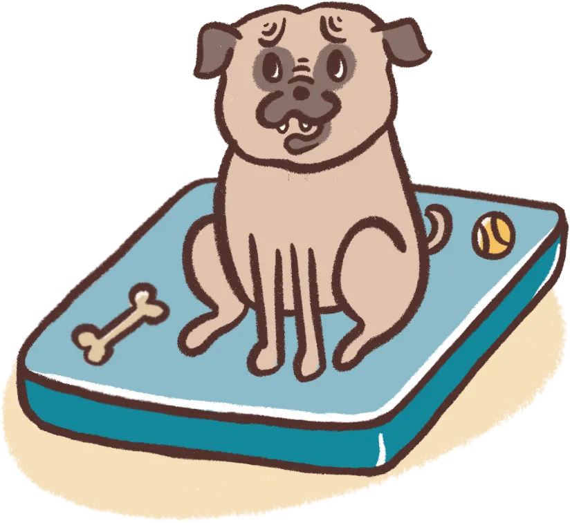 illustration of a dog sitting on a bed with a bone and a ball