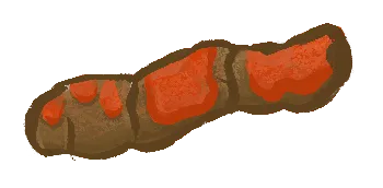 Red blood visible in stool requires veterinary attention