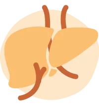 organ function icon