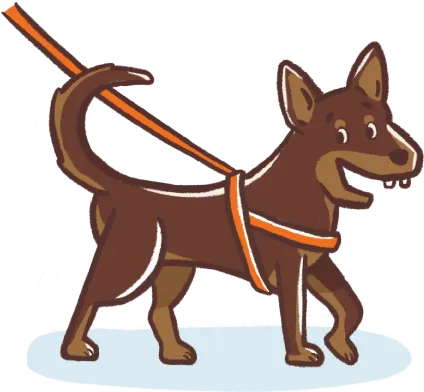 cute illustration of a kelpie dog going for a walk on leash