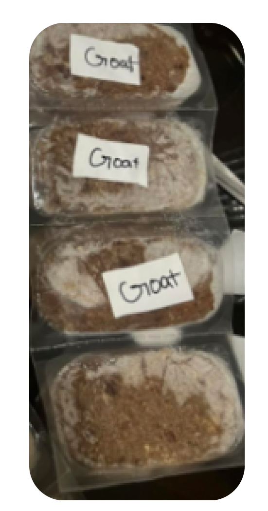 Big Dog Patties with hand written labels with the text 'goat' on the top