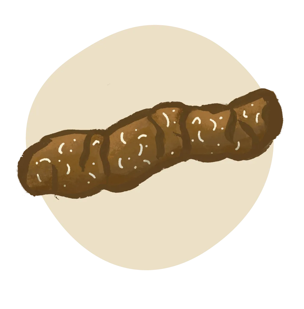 icon of poo with worms