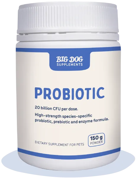 Big Dog Everyday Natural Probiotics for pets