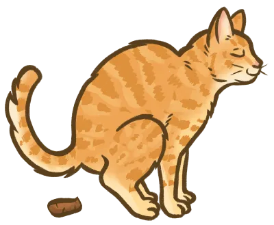 Illustration of an orange cat squatting to poo