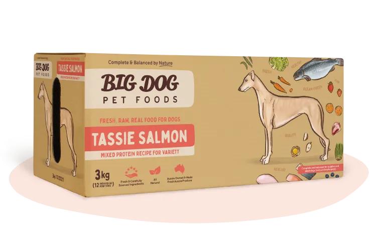 Tasmanian Salmon Raw Dog Food