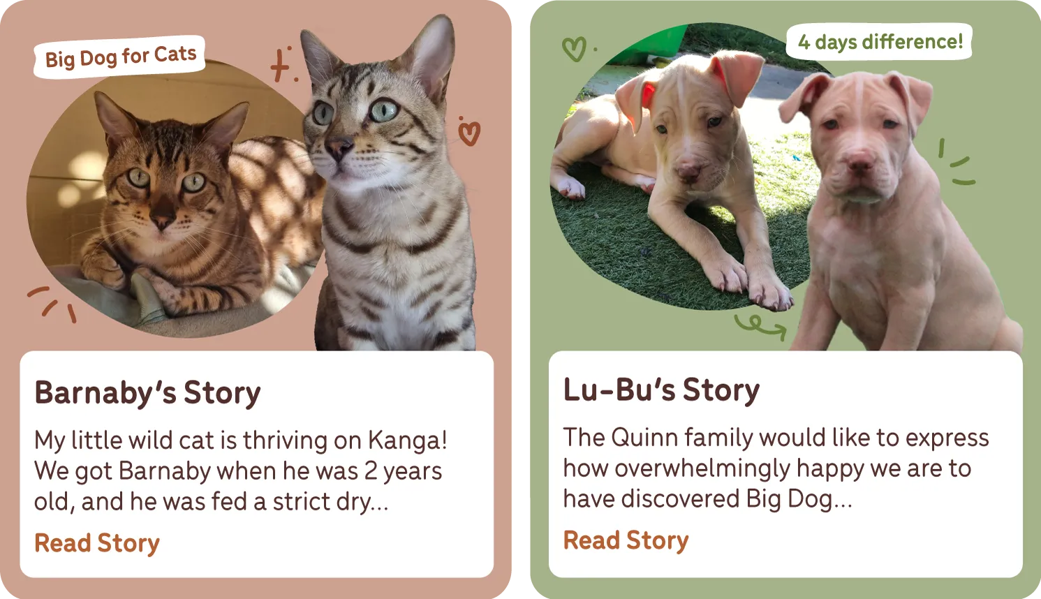 Life-changing Big Dog Pet Foods stories