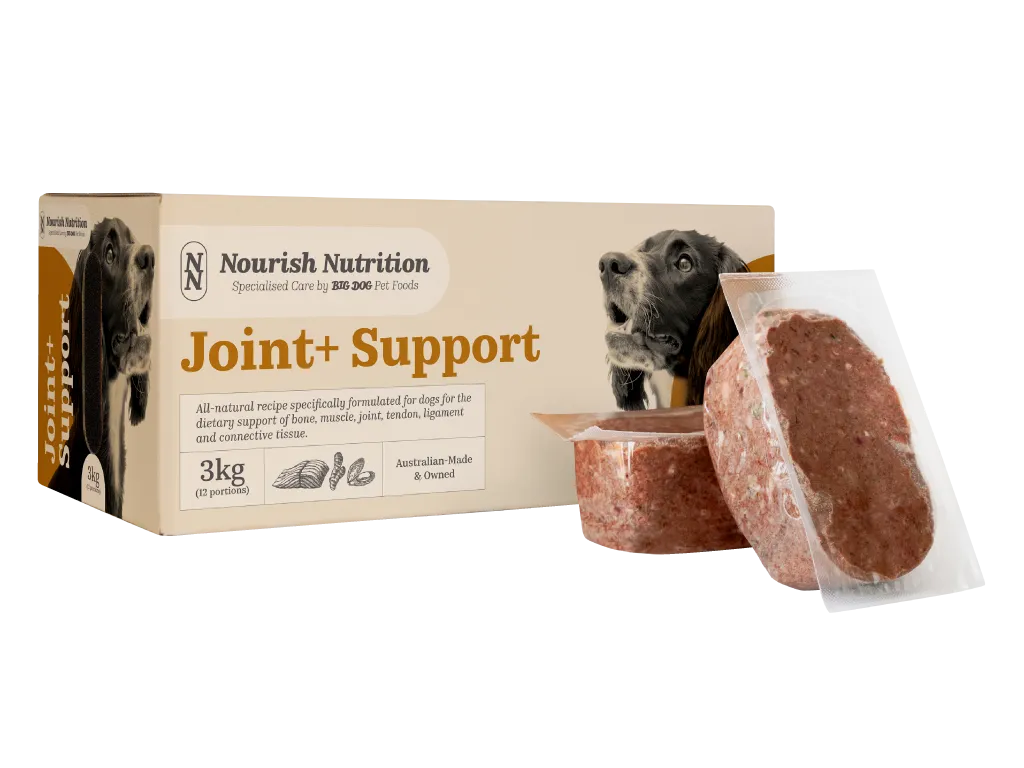 A box of Nourish Nutrition Joint+ Support dog food with two patties out of the box.